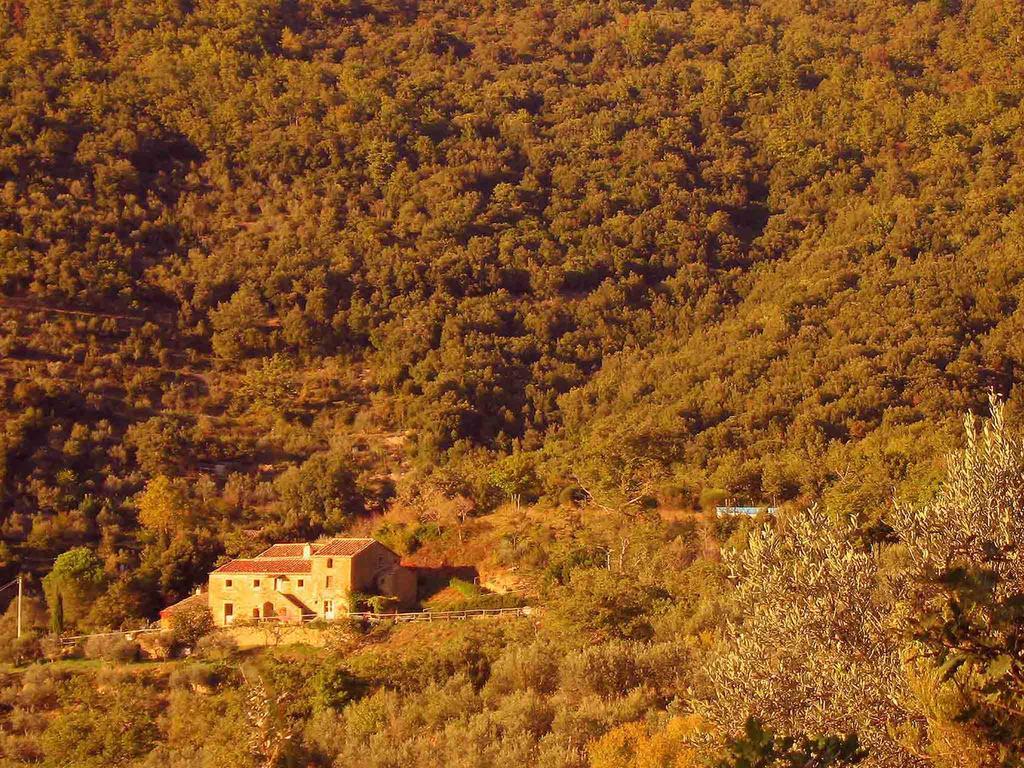Locanda San Martino A Bocena Cortona Exterior photo